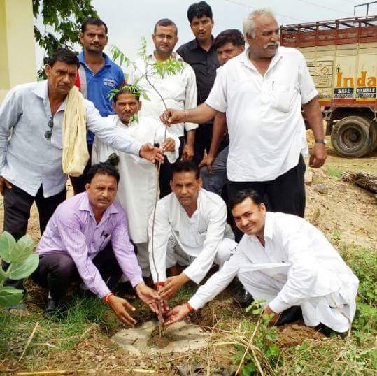 Sustainability Goal